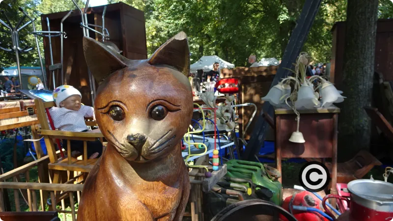 Chat de la Braderie