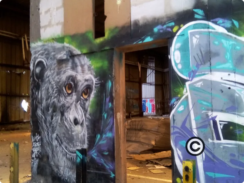 Graffiti Le singe