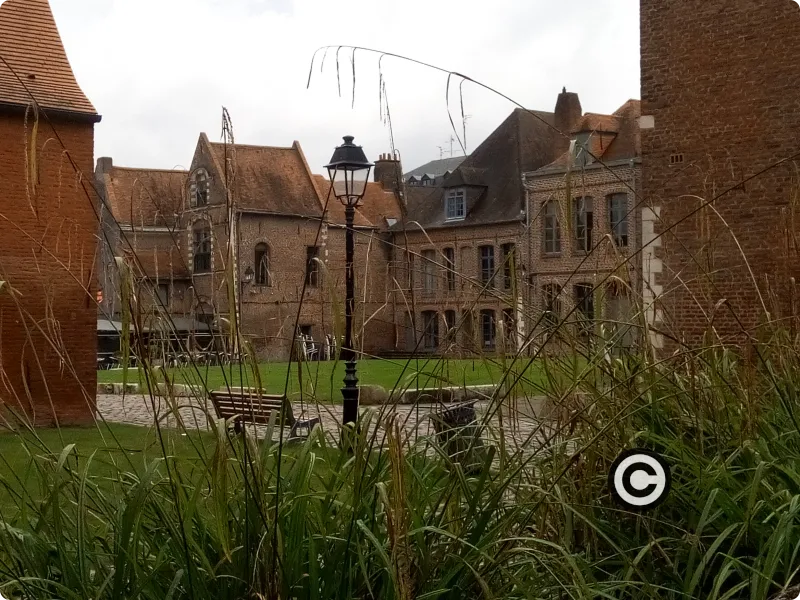 Ilôt Comtesse Lille