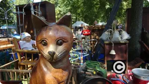 Chat de la Braderie