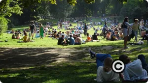 Jeunes gens dans le parc